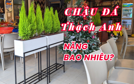 Chậu Đá Thạch Anh Có Nặng Hơn Các Chậu Khác